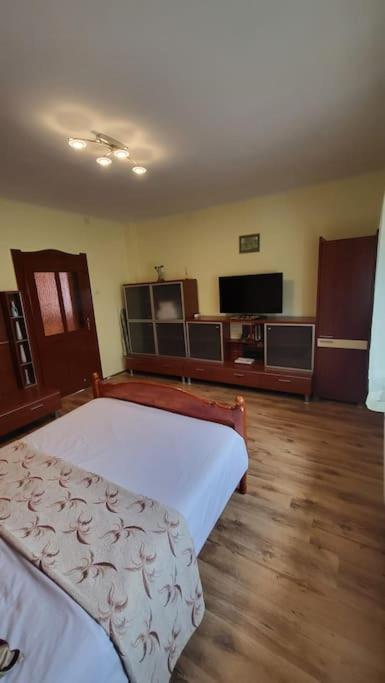 Вилла Casa In Oradea ! Экстерьер фото